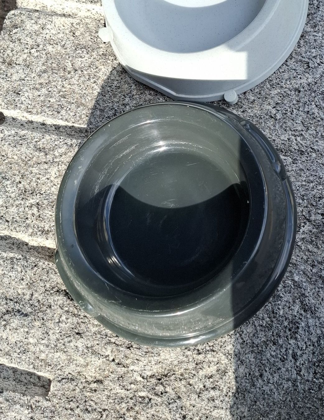 Ciotole: Hundenapfset – Usato da Wangen SZ venduto da smokly01
