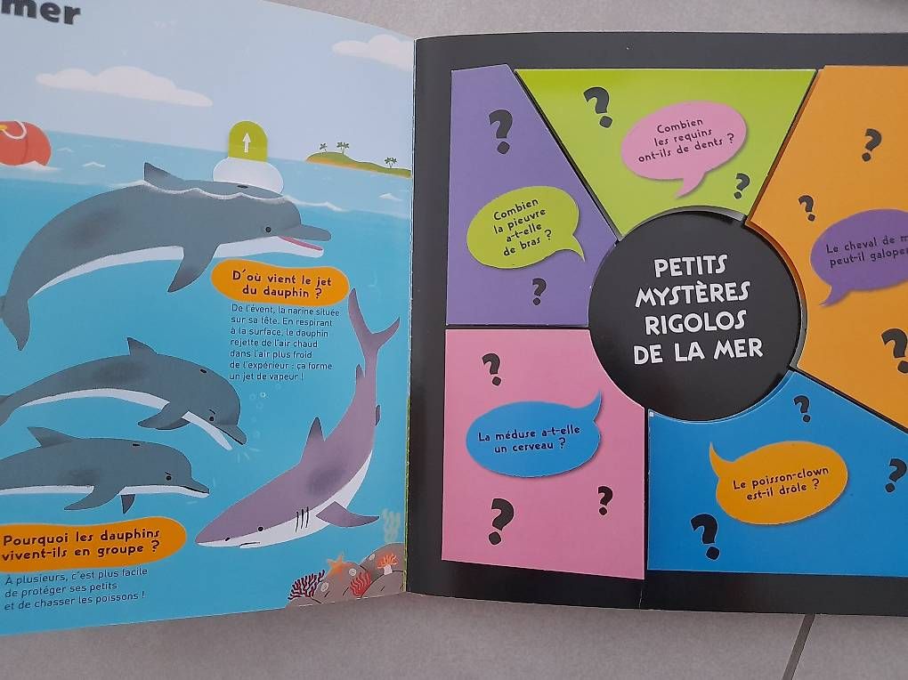 Libri: KIDIDOC Nathan – Usato da Les Geneveys-sur-Coffrane venduto da papoute 1