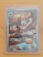 Pokemon - Gurdurr