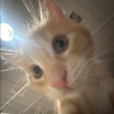 Profile image of tt.tiago