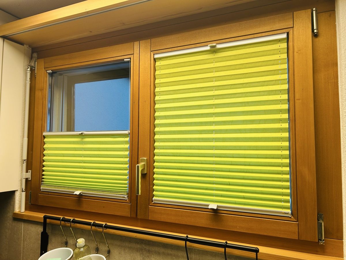 Tende da sole: Fenster Plisse – Usato da Meiringen venduto da cor_lz6y 1