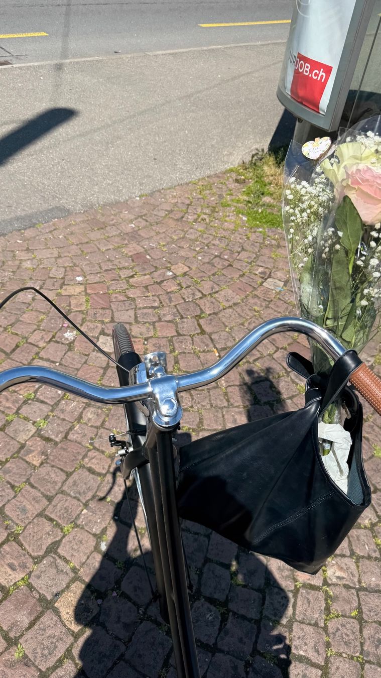 Velos: Vélo VidalXL – Gebraucht aus Biel/Bienne von ani_g9hl 2