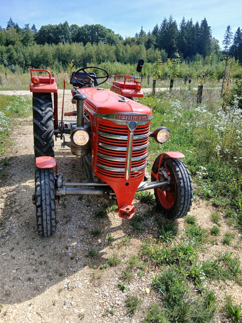 Hürlimann Tracteurs: Hürlimann D90 SSP – D'occasion à Bonfol par Everest360