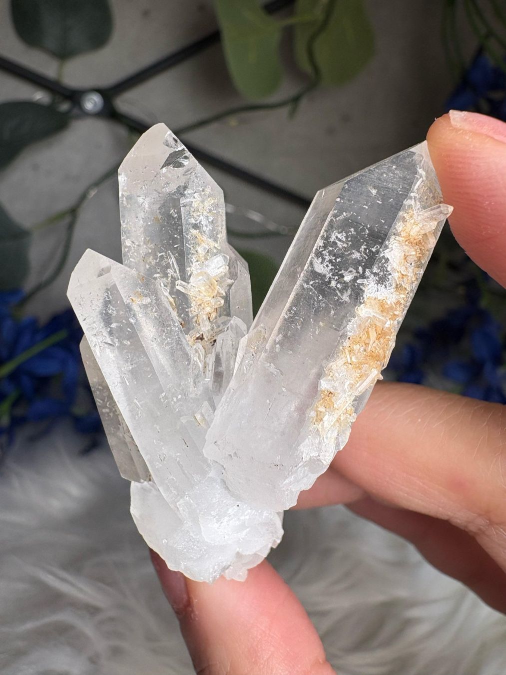 Minerali & Pietre curative: Kolumbianischer Lemurian-Quarz-Cluster – Nuovo (secondo la descrizione) da Neuheim venduto da m.hald