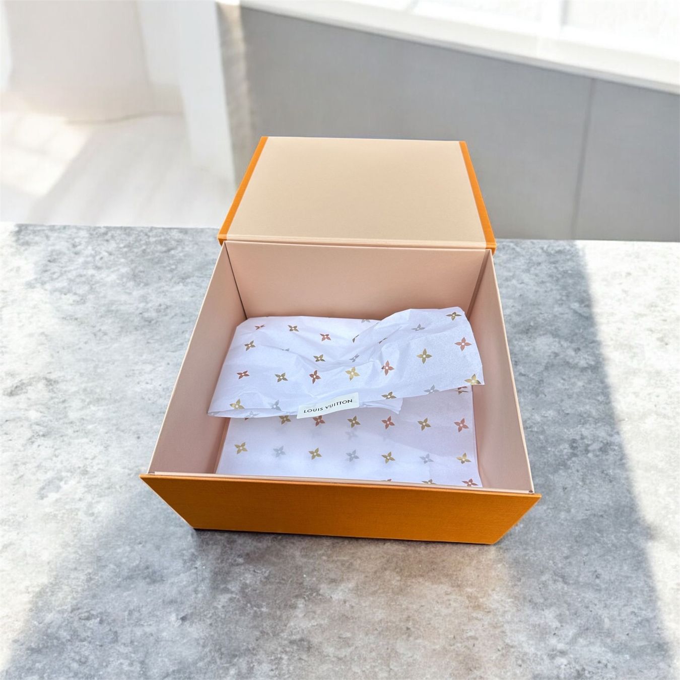 Louis Vuitton Borse: louis vuitton box karton – Nuovo (secondo la descrizione) da Obfelden venduto da val_2dyf 1