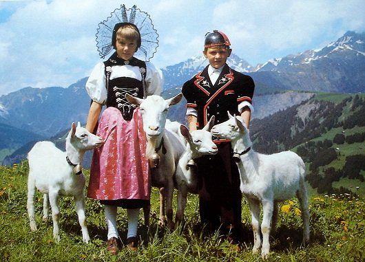 Ansichtskarten: BERNER SONNTAGSTRACHT Kinder mit Ziegen – Gebraucht aus Jona von philajona