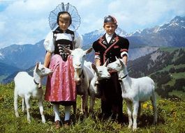 BERNER SONNTAGSTRACHT Kinder mit Ziegen