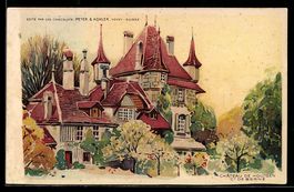 Lithographie Bern, Château de Holligen