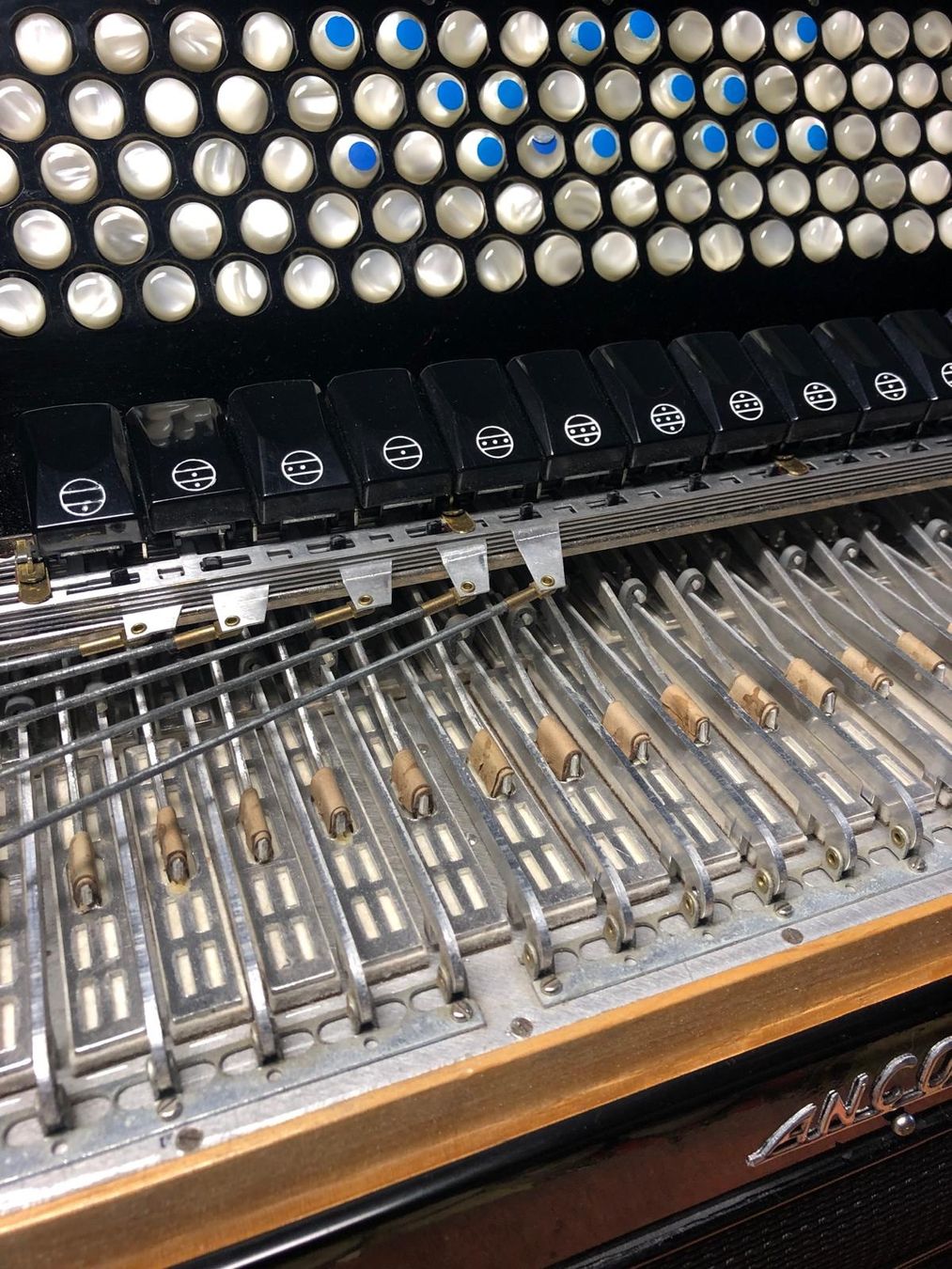 Strumenti musicali: Akkordeon mit geradem Tastenbrett – Usato da Bern venduto da ann_n2br 5