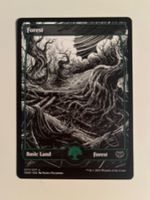 1 x Forest - Magic: The Gathering - MtG
