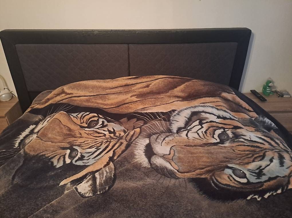 Letti: Boxspringbett  – Usato da Bazenheid venduto da ste_8ycz 3