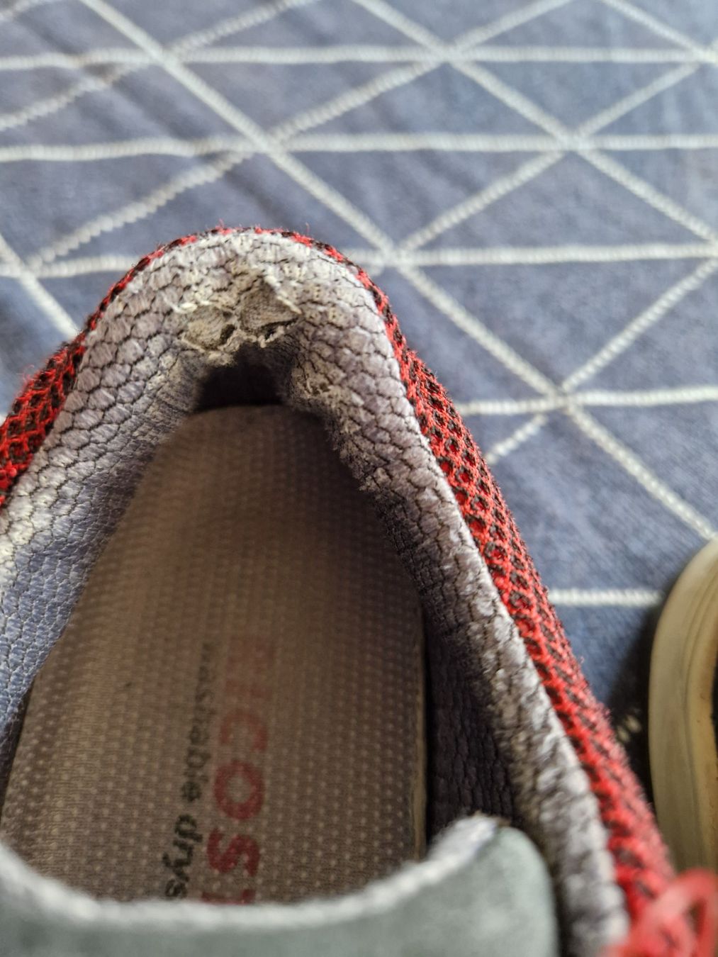 Ricosta Scarpe per ragazzi: Ricosta Halbschuhe rot 33 – Usato da MUEHLAU venduto da ibo_5c7d 1