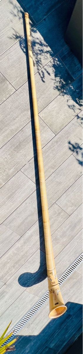 Strumenti musicali: Alphorn Kolleger mit Tasche – Usato da Domat/Ems venduto da gian1984 4