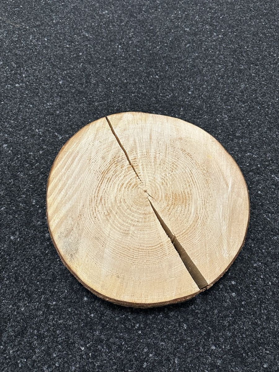 Articoli in legno: Holzplatten ca. 30cm Durchmesser – Usato da Tübach venduto da Tsinger1