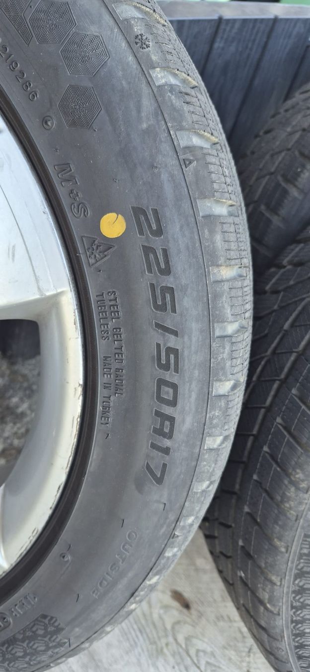 Skoda Cerchioni: Felgen mit Winterreifen  – Usato da Wangen SZ venduto da ricki93 2