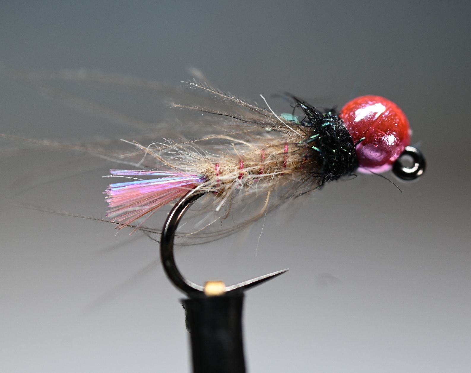 Esche: 1x Neon Nymph - #12 / 3,8mm – Nuovo (secondo la descrizione) da Degersheim venduto da HookedOnTheFly