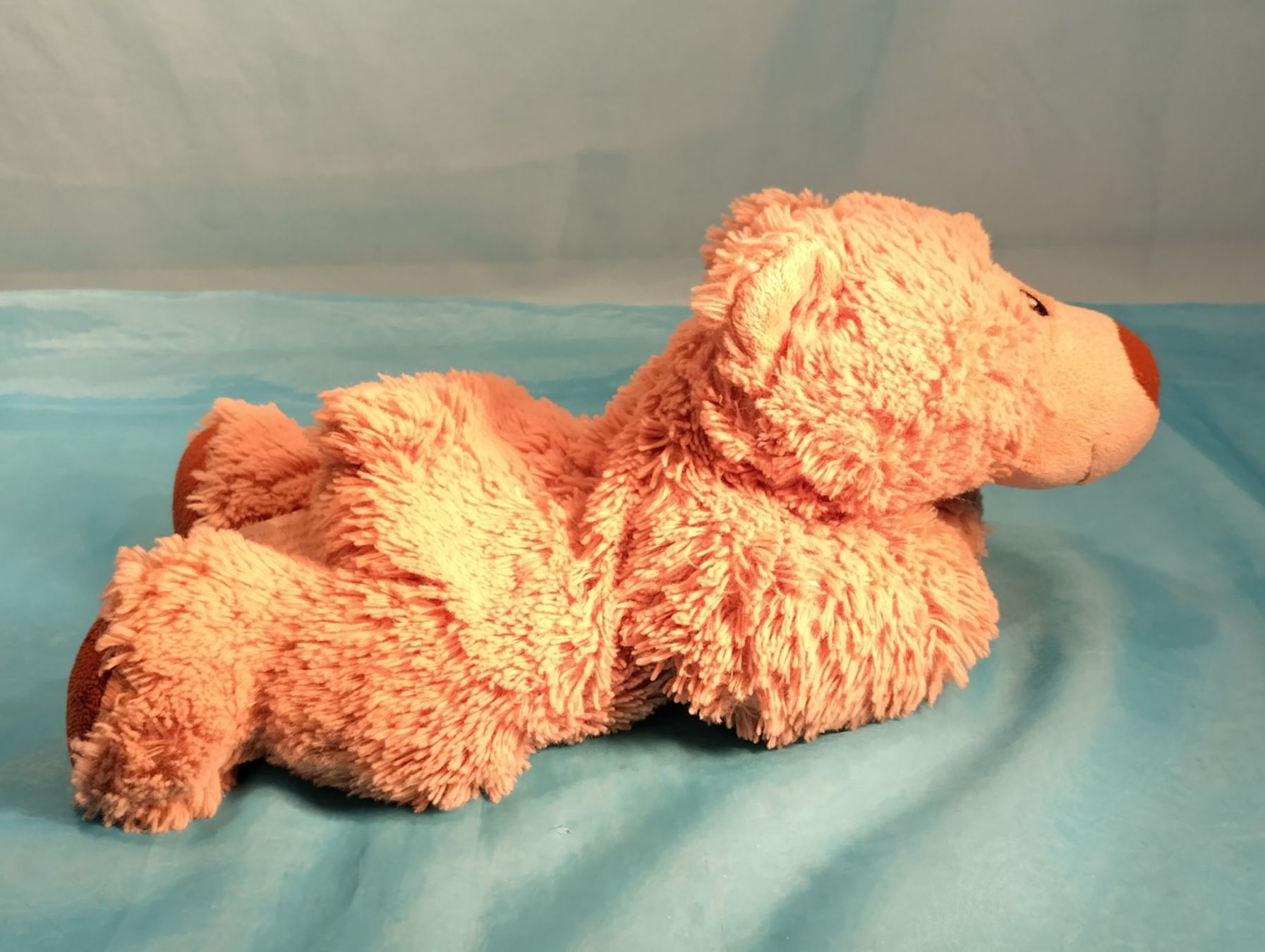 Warmies Spielzeuge: Warmies Bär, L: 30cm – Gebraucht aus Bellach von JingleCherry 1