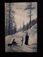 WINTERSPORT - SLITTEN  - 1909 - OHNE MARKE