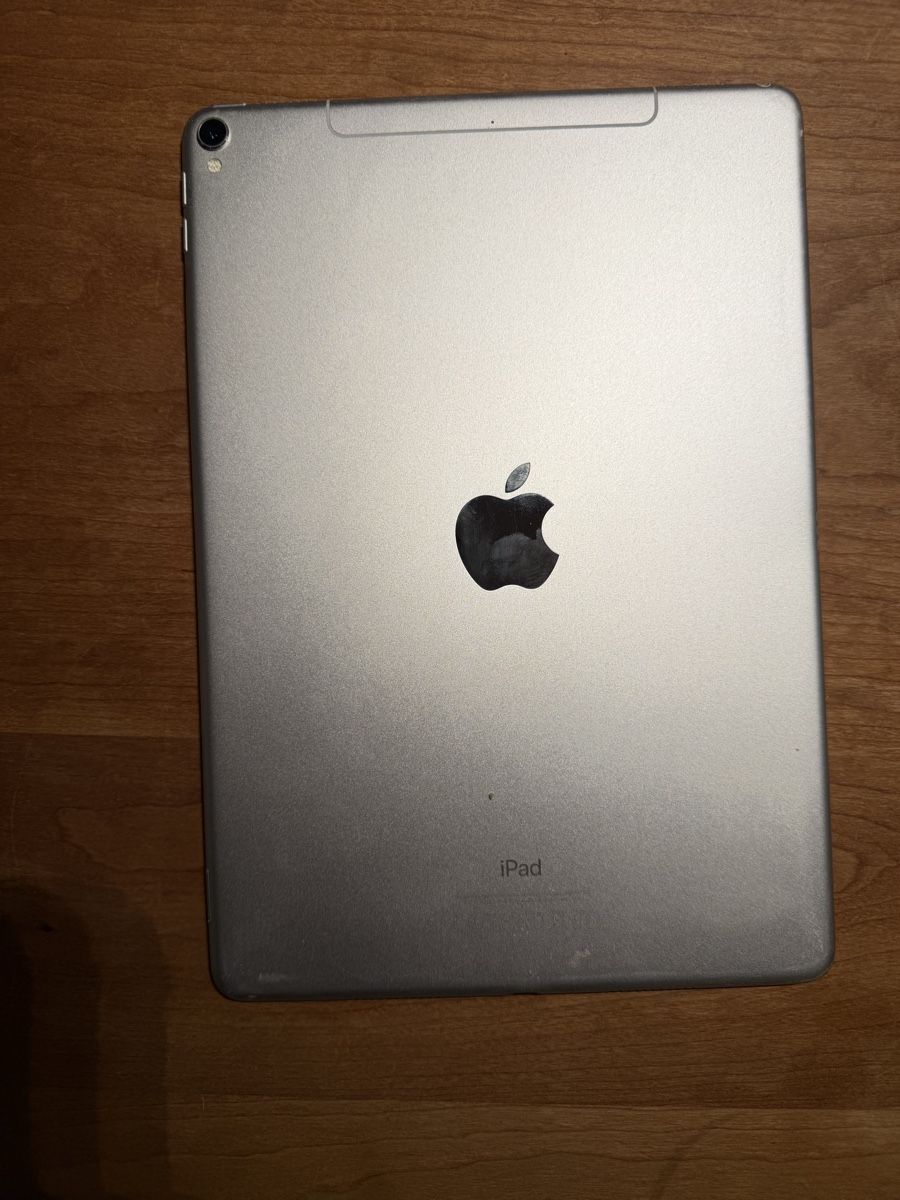 Apple Tablet PC: iPad Pro Wi-Fi + Cellular 64GB – Gebraucht aus Busswil BE von Sonnenblumenbild 1