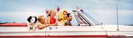 Photographie YellowKorner – Jim Pond - Convertible – Limited