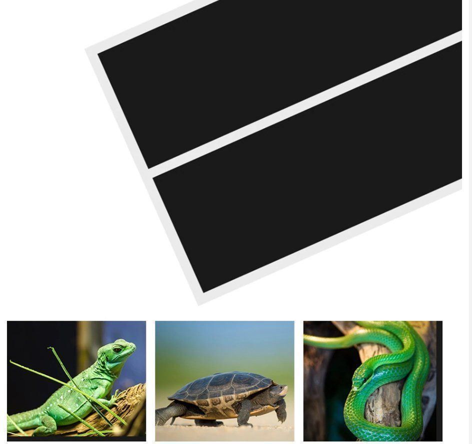 Terrario: Reptilien Pet Wärme Matte 7W – Nuovo e nell'imballaggio originale da Uerkheim venduto da Kaufoption 5