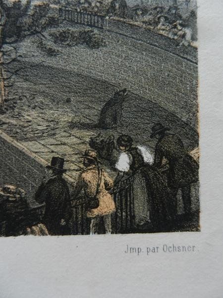 Incisioni: Bern Bärengraben – Usato da Risch venduto da Rischli15 9