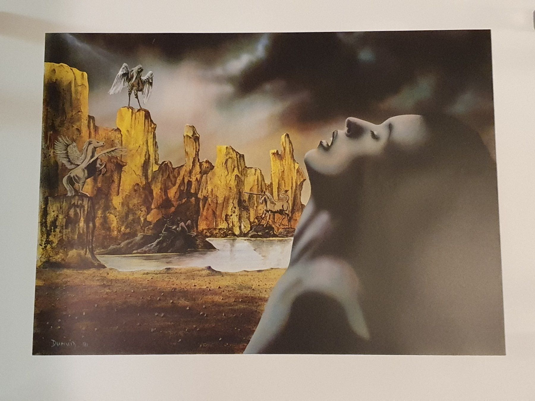 Foto & Immagini: Kunstbild – Usato da Lachen SZ venduto da LinDiscount