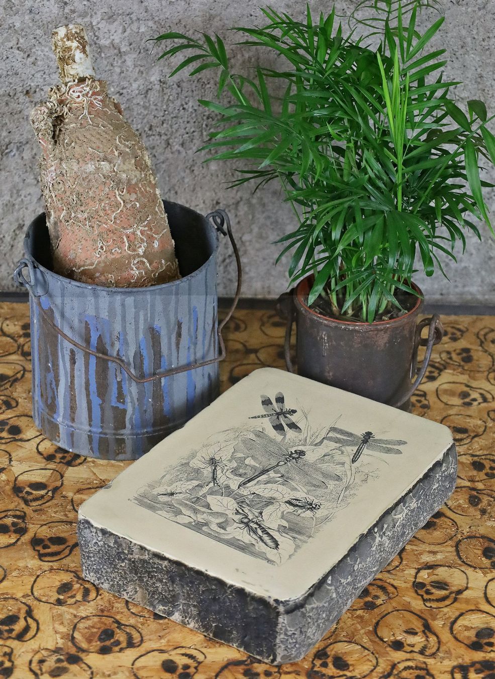 Grafiken & Lithographien: Lithostein, Lithographie "Libelle, Libellen" – Gebraucht aus Birrwil von brandschatz_birrwil