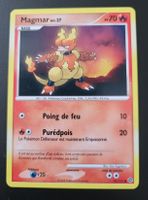 Magmar Merveilles secrètes FR