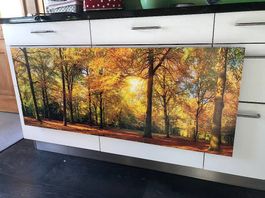 Bild Herbstwald