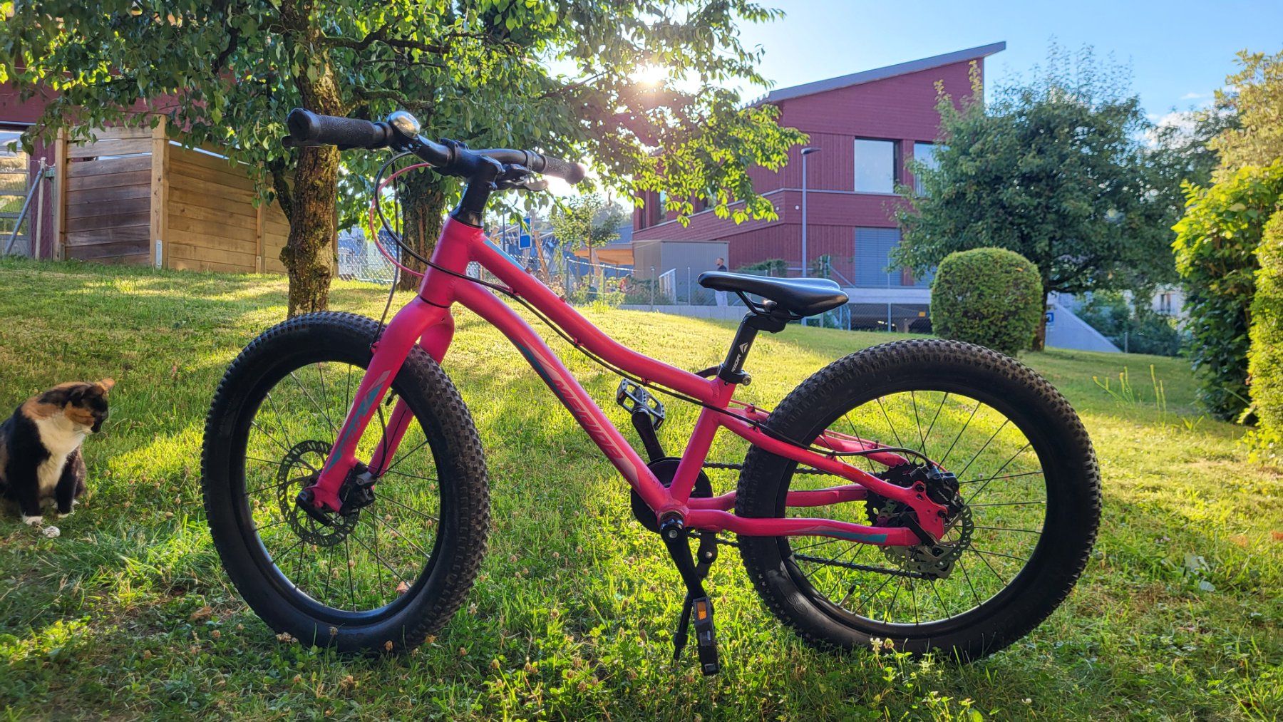 Merida Vélos: Mädchen Bike Merida – D'occasion à Richterswil par Buzeli
