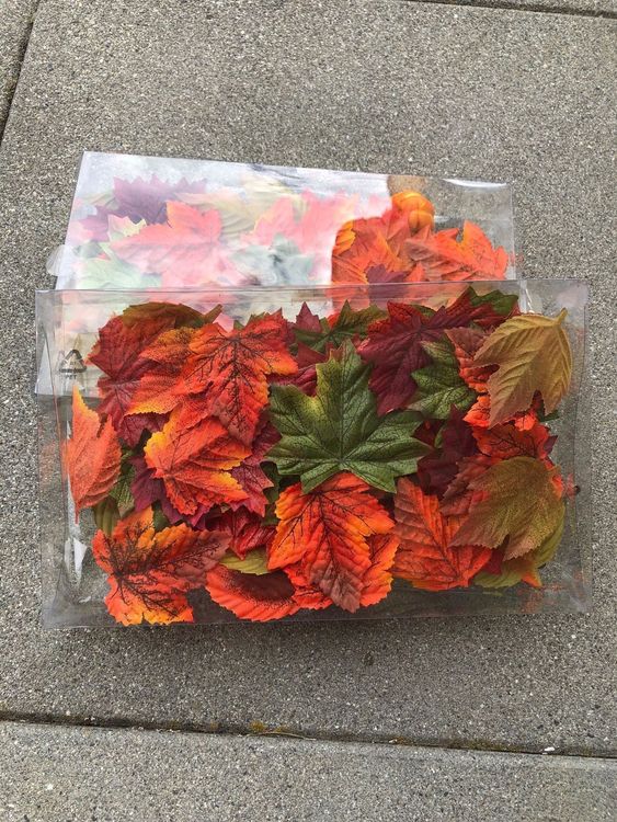 35 Stück Thanksgiving Herbst-Bordüren – Deko-Set Für Pinnwände Mit Blättern & Zwergen