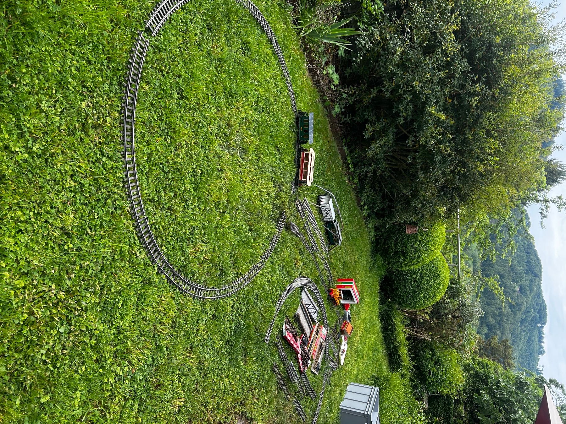 LGB Modellini di ferrovie: LGB Bahn Konvolut – Usato da Büren SO venduto da STEN02 3
