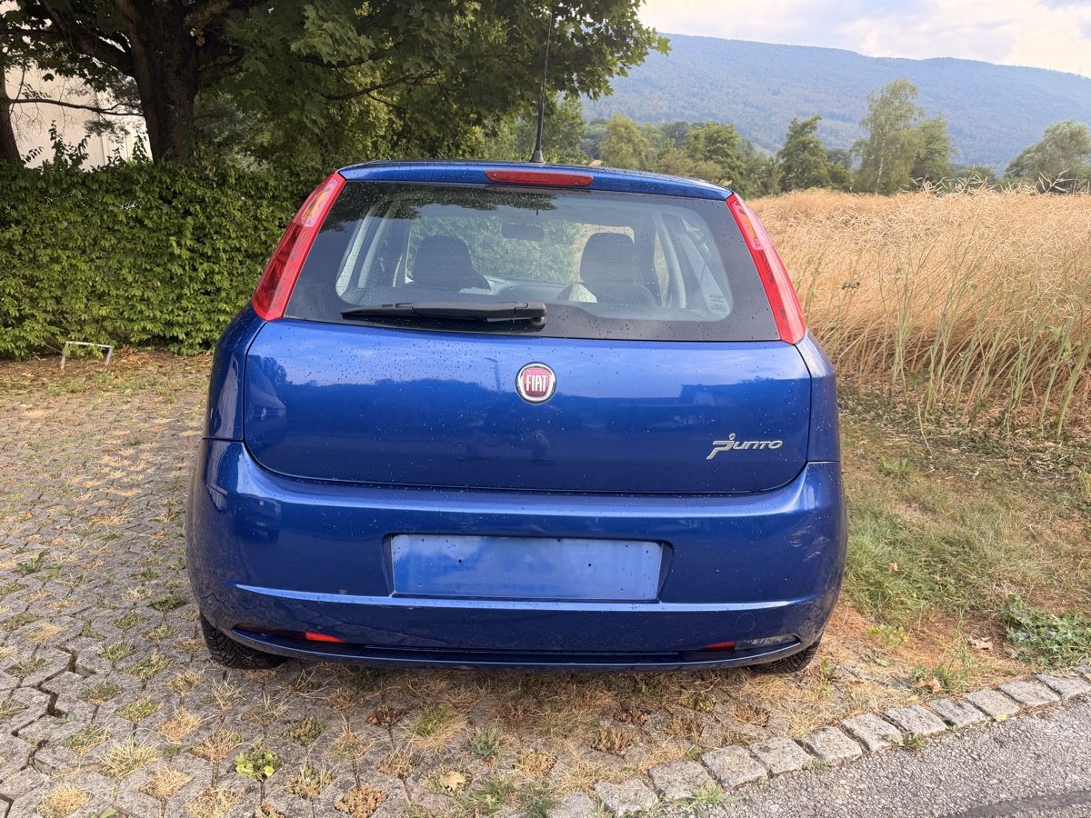 Fiat Autos: Fiat  Punto 1.4 8v – Gebraucht aus Roggwil BE von mun_hmx7 5