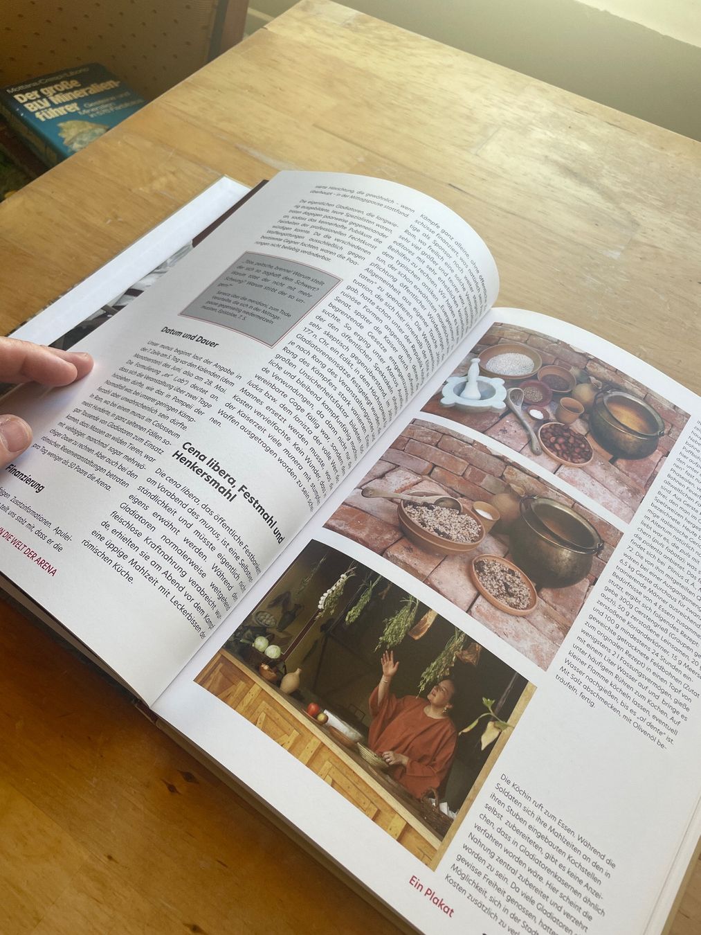 Livres: Gladiatoren von Marcus Junkelmann – D'occasion à Sent par ManuelB07 5