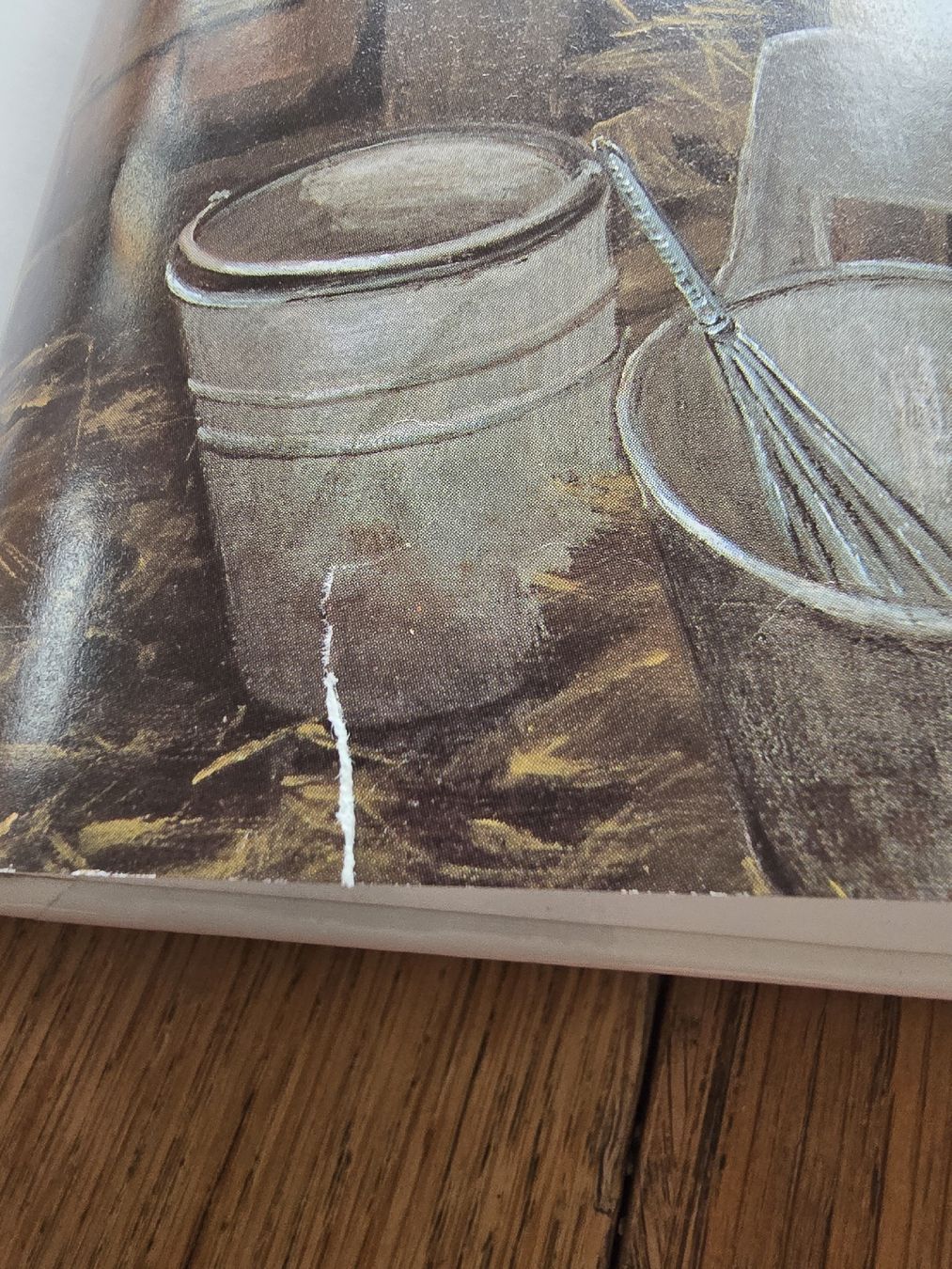 Bücher: Bilderbuch Alex – Gebraucht aus Hedingen von mickway 6