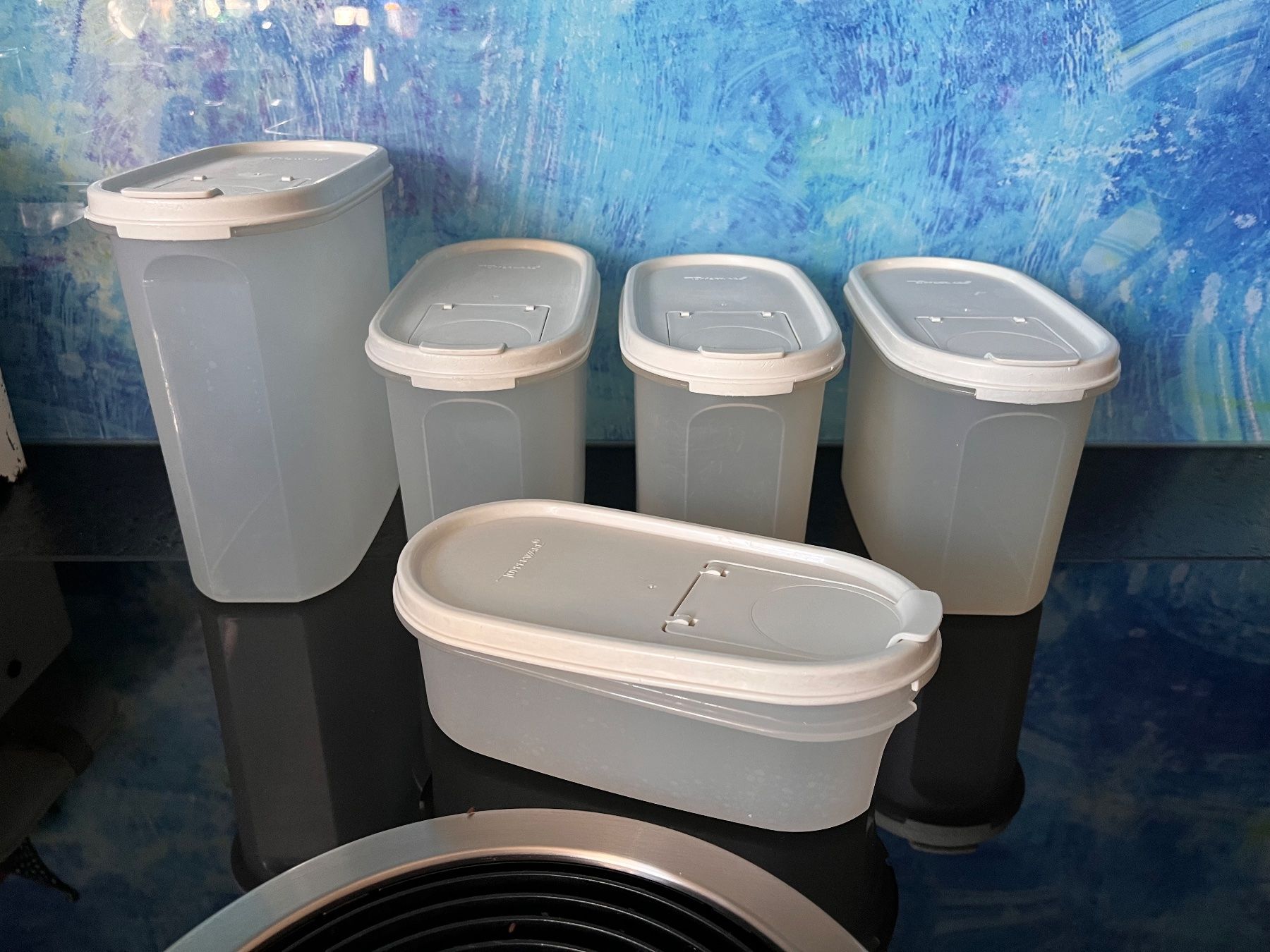 Tupperware Contenitori & Simili: Tupperware Vorratsbehälter Tupper Behälter Küchenartikel – Usato da Frauenfeld venduto da Babytimmy 1