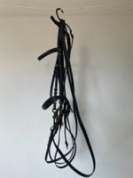 Kandarrenzaum braun Leder Marke "Kiefer" mit Gebiss WB