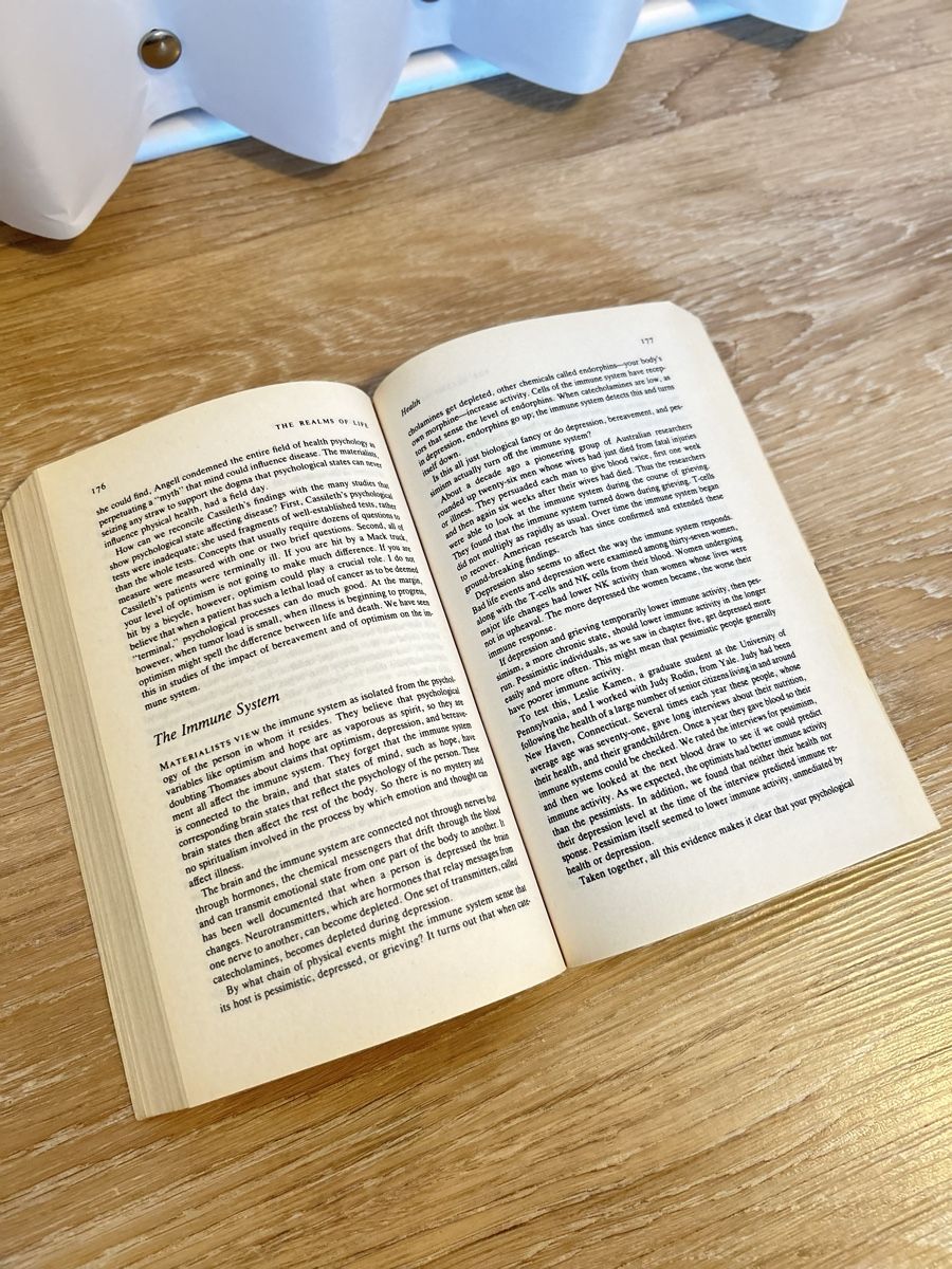 Libri: Gelesenes Buch: Learned Optimism - Martin Seligman – Usato da Schaffhausen venduto da Alinas-Kinderwelt 1
