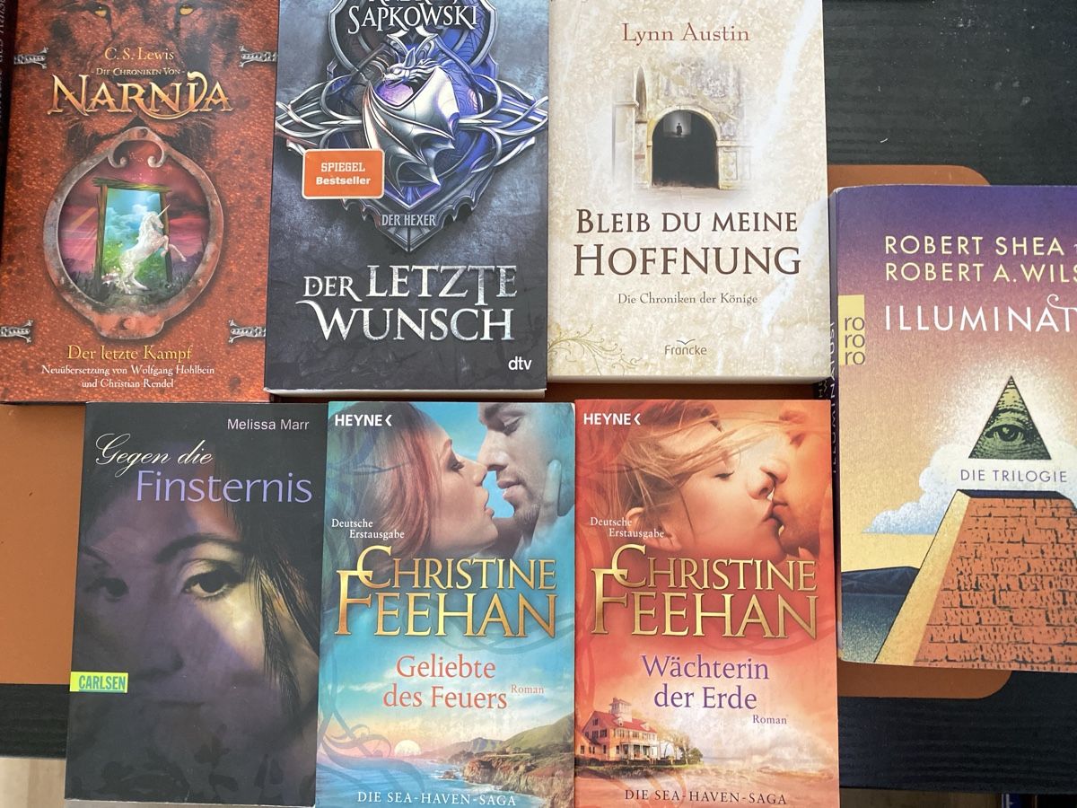 Libri: 7 Romane Fantasy Mystery – Usato da Erlinsbach SO venduto da Silverstorm