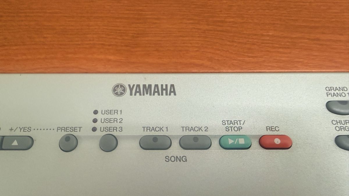 Yamaha Strumenti musicali: Yamaha P-120 Digital Piano – Usato da Rüti ZH venduto da nazaruch1 2