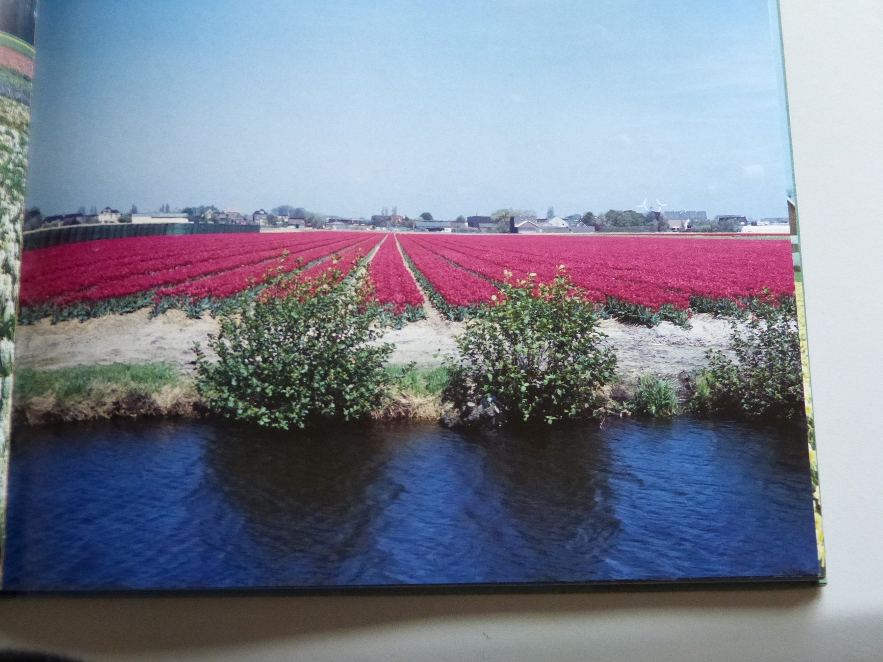 Bücher: Holland  Fascinating  Flowerfields – Gebraucht aus Altendorf von Hoppla45 1