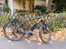 Tour de Suisse Broadway E-Bike 48cm 25km/h