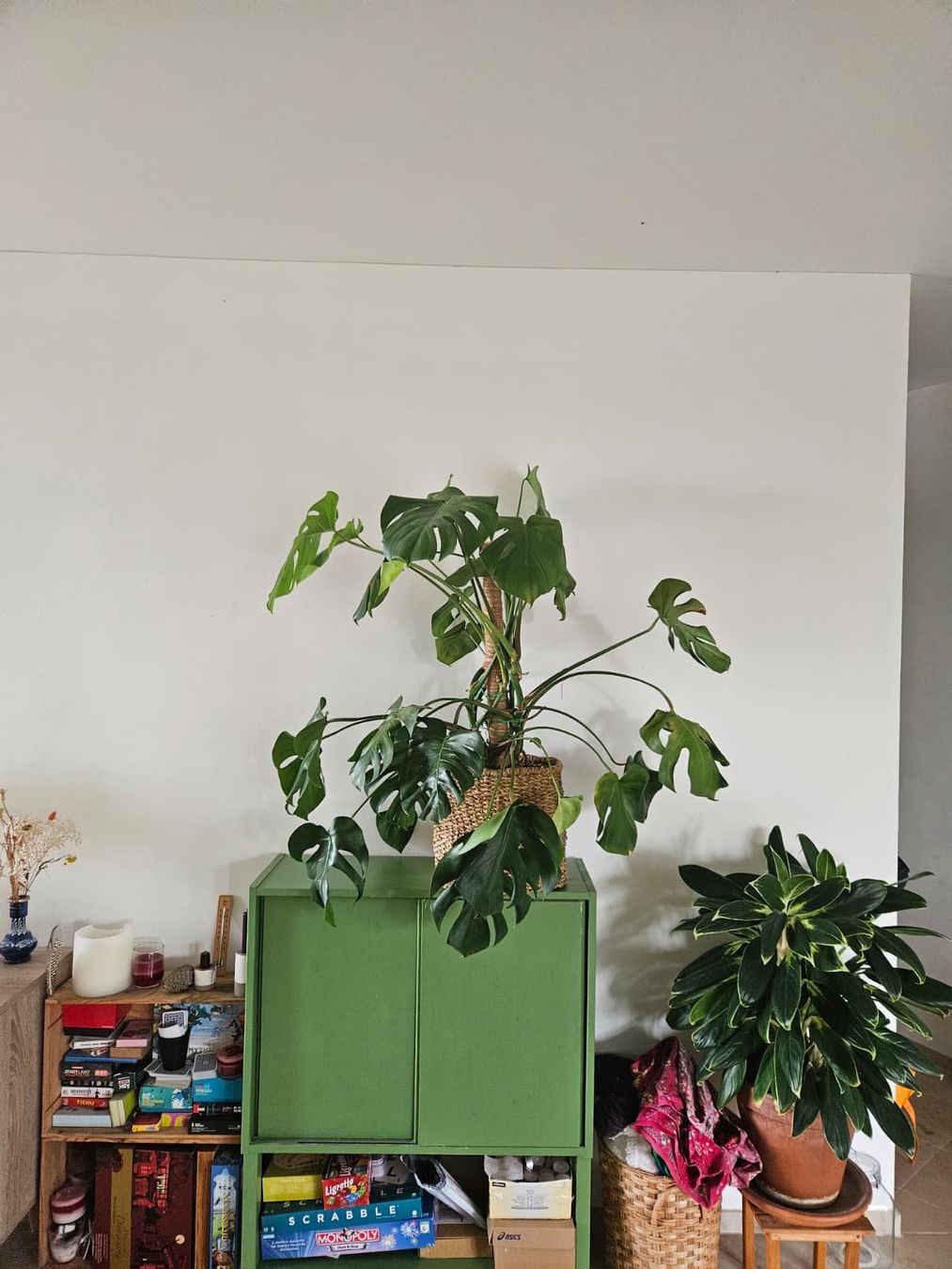 Ikea Cassettiere: Kommode aus Kiefernholz grün – Usato da Zürich venduto da the_k8dc 4