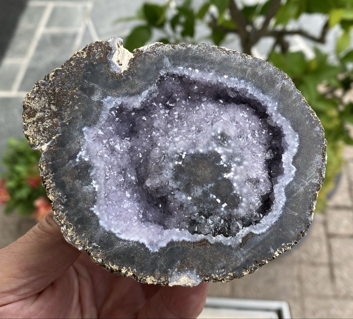 Mineralien & Heilsteine: Sehr schöne Geode  – Gebraucht aus Selzach von 321compac 3