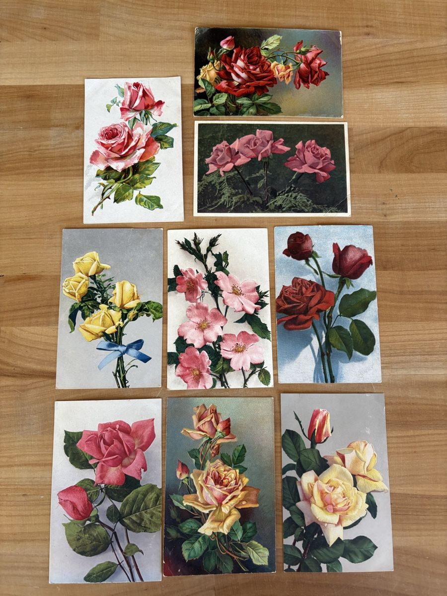 Cartoline postali: AK Sammlung mit Rosen Motiv – Usato da Rümlang venduto da Kartenpost1