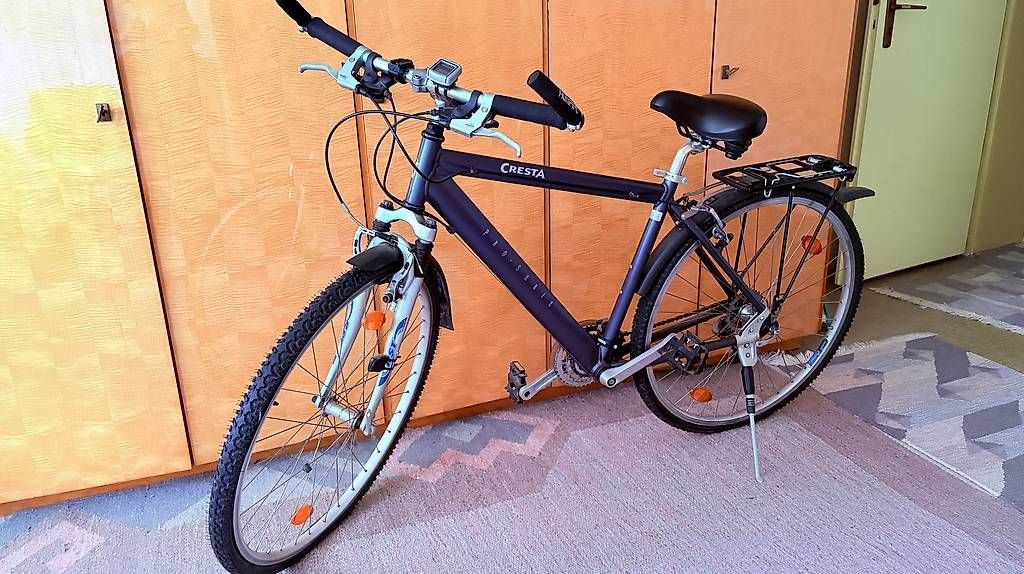 Cresta Biciclette: Cresta Swiss Trekkking Rad – Usato da Zeiningen venduto da lam_dph7 3
