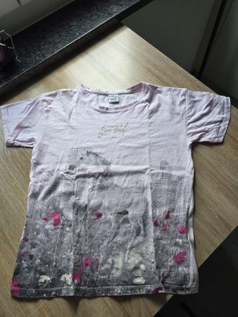 Sommer T-Shirt, Page One Young, Gr. 146/152, Pferd Motiv