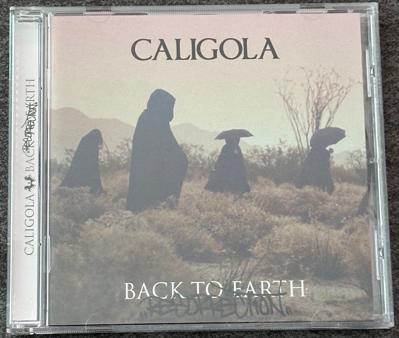 CDs: Caligola - Back to Earth - CD – Gebraucht aus Geuensee von dmi_hdp9