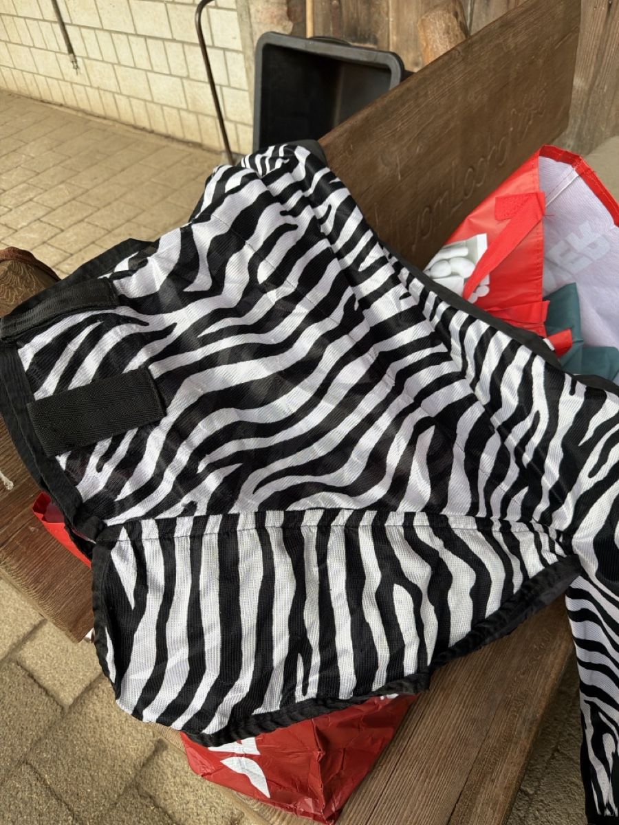 Coperte & Accessori: Pferdedecke Zebra Muster Grösse 155 gebraucht – Usato da Zofingen venduto da roki_ch 3